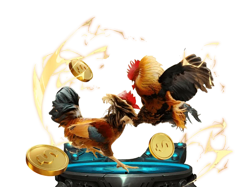 Hình ảnh đá gà trực tuyến với các quy tắc và chiến lược